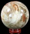 Colorful Petrified Wood Sphere #49774-1